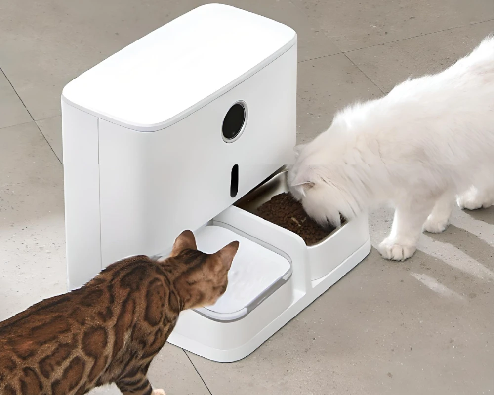 automatic dog feeder with camera