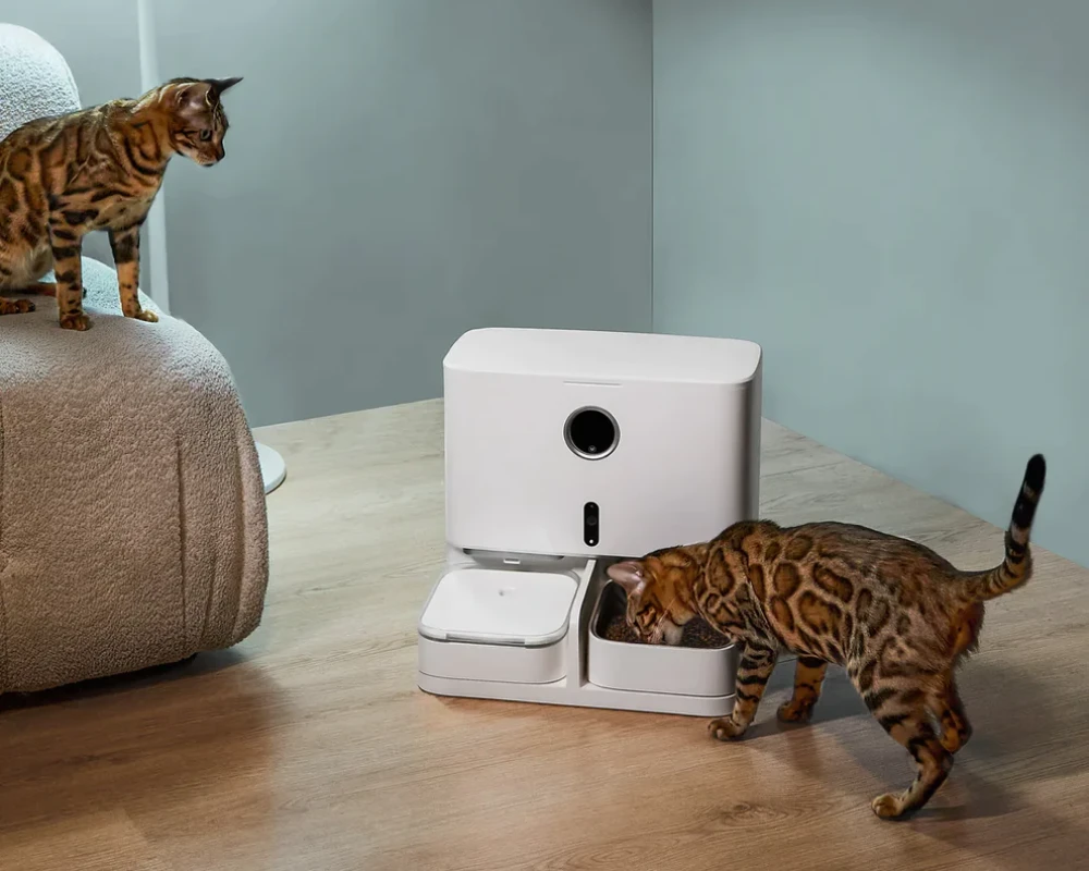 pet food dispenser